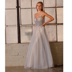 Glamour by Terani Couture Gray/Silver Full Length Evening Gown/Prom Dress Size 2